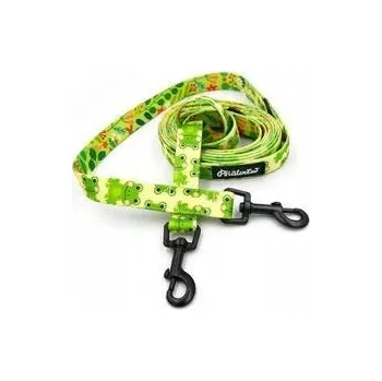 Obraz Vodítko pro psa Zelené žabky 220 cm