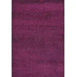 Kusový koberec SHAGGY PLUS 957 purple POSLEDNÍ KUS Rozměr: 200x290 cm