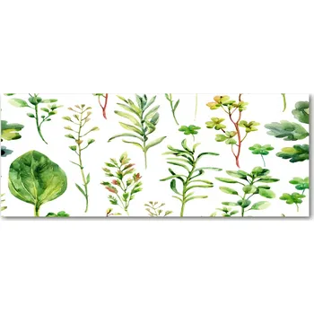 Obraz Lacobel sklo s fotopotiskem Bylinky a plevel XXL