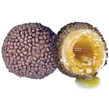 Boilies LK Baits Nutrigo Pellets Romadur Halibut, 250ml, 24mm