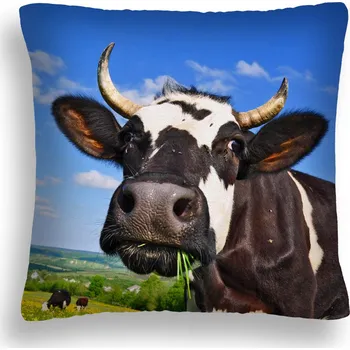 Polštář POLŠTÁŘ POLSKÁ MLÉČNÁ MUĆKA KRÓWKKA ZW 05 POLŠTÁŘ