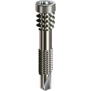 Vrut Spax Vrut do dřeva Samovrtný TX25 5x44 mm 100 ks