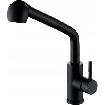 Vodovodní baterie Stojánková kuchyňská baterie Focus Sanitar Focus Sanitär černá