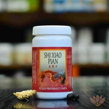 Doplněk stravy TCM Bohemia Shi Xiao Pian 045P 6 tablet – osobní odběr v Pardubicích a Jihlavě