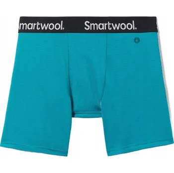 Pánské spodní prádlo Pánské termoaktivní boxerky Smartwool Brief Boxed deep lake S