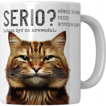 Keramický hrnek 330 ml - Vtipný dárek k narozeninám, ke Dni matek, otců, babičky, dědečka, pro děti, na kávu, čaj, do kanceláře, pro kamaráda, kamarádku, kolegu, kolegyni - PIZZA NETFLIX SERIAL