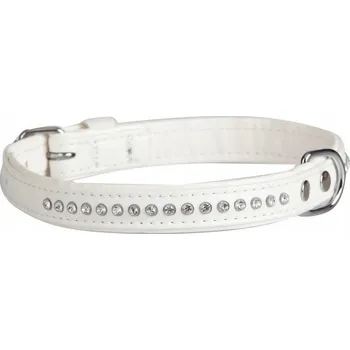 Obojek pro psa Obojek pro psa Dingo vel. S