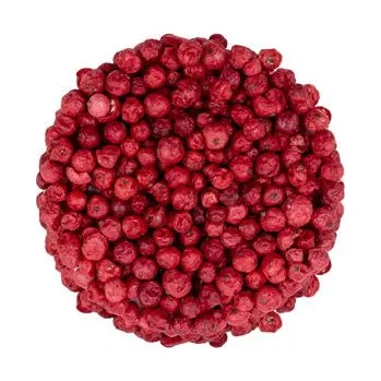 Sušená potravina Červený rybíz lyofilizovaný váha 100g