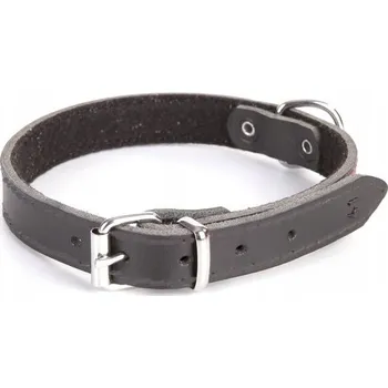 Obojek pro psa Kožený obojek pro psa Dingo vel. XXS/XS