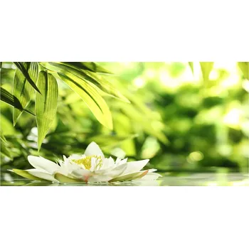 Obraz Ochranný panel Leknín 120x60 cm + LEPIDLO