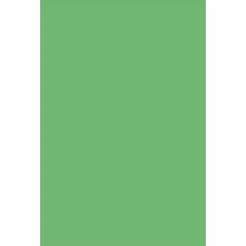 Kreslící karton A3 170g,zelený