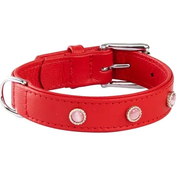 Obojek pro psa Kožený obojek pro psa Dingo vel. L