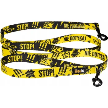 Vodítko pro psa ŽLUTÉ OBOUSTRANNÉ VODÍTKO . VYSOKÉ. POLSKÁ VÝROBA . 400 cm / 2 cm