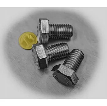 Šroub 12x25 ŠROUB ŠESTIHRANNÝ NEREZ INOX 933 10 KS