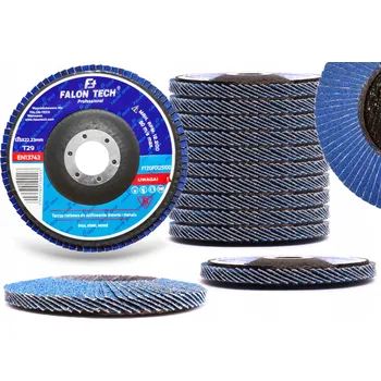 Příslušenství k brusce BRUSNÝ LAMELOVÝ KOTOUČ ZIRKONOVÝ NA NEREZ OCEL INOX 125 P60 10 KS