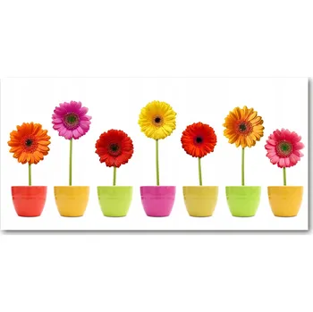 Obraz Kuchyňský panel Barevné gerbery 140x70 cm + LEPIDLO