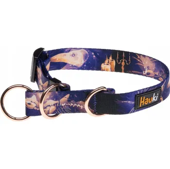 Obojek pro psa Obroża półzaciskowa dla małego psa Soumrak - Hauki - velikost S