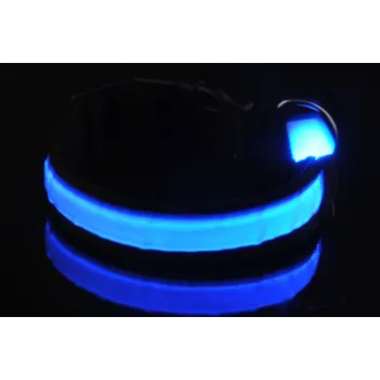 Obojek pro psa Svítící obojek modrý M