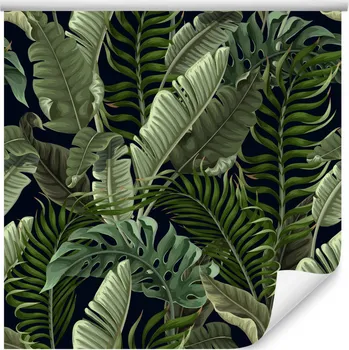 Fototapeta Tapeta do obývacího pokoje LISTY Tropické Banánovník Monstera Palmy Příroda