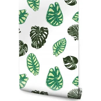 Fototapeta Tapeta listy monstery, přírodní motiv rostlin, do obýváku