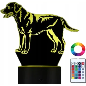 Lampička Plexido vícebarevná Noční lampa