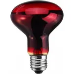 Agrofortel Infražárovka 100 W červená