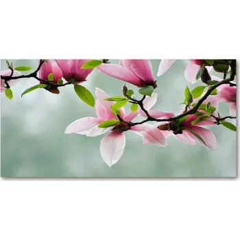 Obraz Kuchyňský panel mezi skříňky Magnolie 120x60 + LEPIDLO