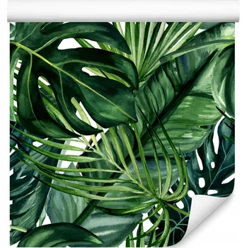 Fototapeta Tapeta v roli Malované LISTY Tropické Banánovník Monstera Akvarely