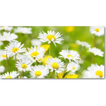 Obraz Kuchyňský panel mezi skříňky Stokrotki 100x50 + LEPIDLO