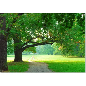 Obraz Skleněný panel 70 x 100 x 4 mm tvrzené sklo broušené zelené