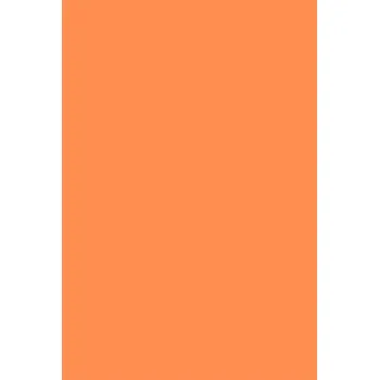 Kreslící karton A3 170g,oranžový