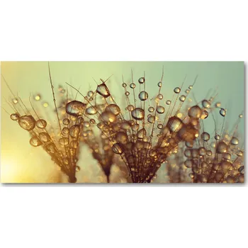 Obraz Kuchyňský panel Pampelišková semínka 140x70 cm + LEPIDLO