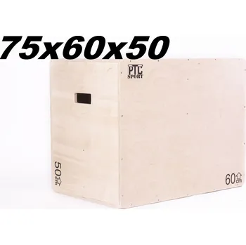 Obraz Step PTC Sport 75x60x50