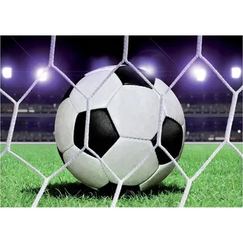 Fototapeta Fototapeta MÍČ STADION STADION BRANKA GOL312x219