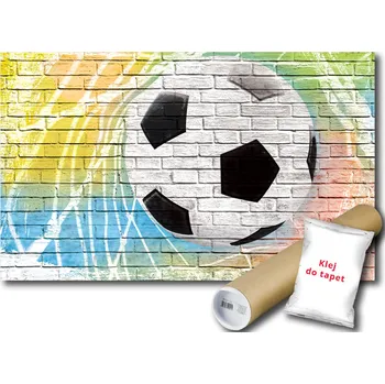 Fototapeta FOTOTAPETA CIHLA MÍČ ZEĎ 6G FL 152x104 F2021