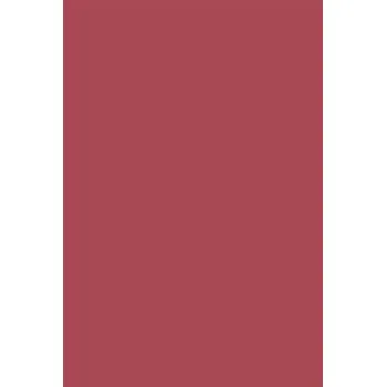 Výtvarný papír Kreslící karton A3 170g,vínový