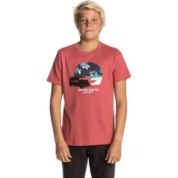 Pánské tričko Tričko Rip Curl MULTI VAN SS TEE Mineral Red velikost 8