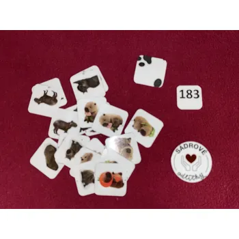 Pexeso HandMade by VeJa Menší pexeso vel.M č.183 - Capybara (24ks)