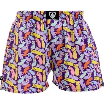 Trenýrky Spodní prádlo Represent EXCLUSIVE ALI MOUSE IN DA HOUSE Violet velikost L