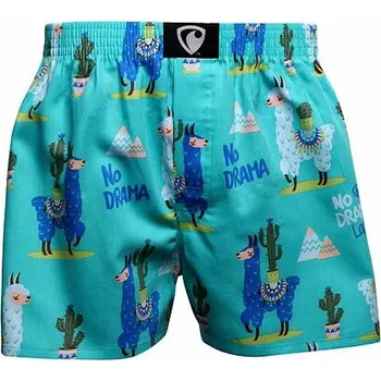 Trenýrky Spodní prádlo Represent EXCLUSIVE ALI NO DRAMA Turquoise velikost S