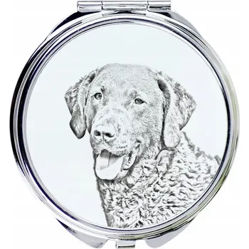 Kosmetické zrcátko Kompaktní kapesní zrcátko s Chesapeake Bay retrívrem a fotografií psa
