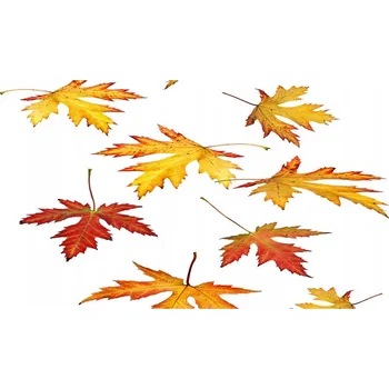 Obraz Lacobel sklo s fotopotiskem Podzimní listí XXL