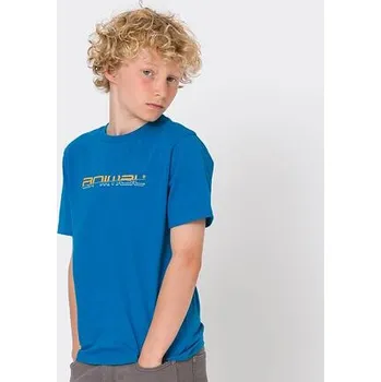 Pánské tričko Tričko Animal SKETCHY Mykonos Blue velikost BXS