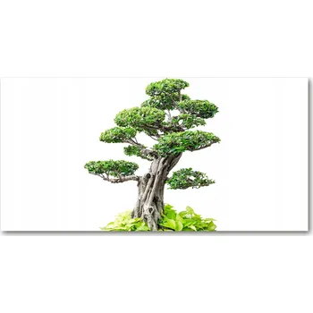 Obraz Kuchyňský panel Strom bonsai 120x60 cm + LEPIDLO