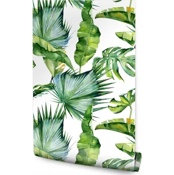 Fototapeta Tapeta tropické listy Džungle /584453224