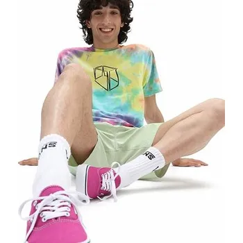 Pánské tričko Tričko Vans OFF THE WALL SKATE CLASSICS OVAL WASH SS Tie Dye velikost L