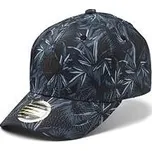 Kšiltovka State Of WOW BLUES YOUTH BASEBALL CAP Grey velikost O/S