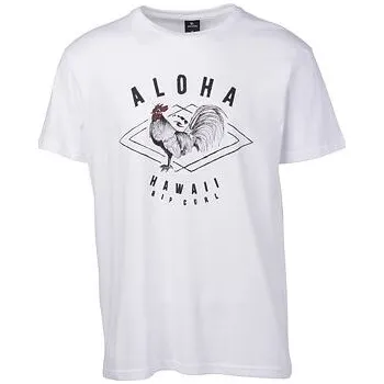 Pánské tričko Tričko Rip Curl SURFING STATES SS TEE Optical White velikost XL