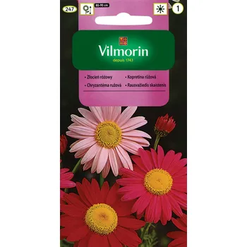 Semeno Kopretina růžová Vilmorin Classic 1 g