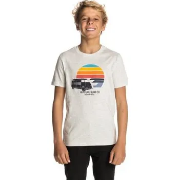 Pánské tričko Tričko Rip Curl MULTI VAN SS TEE White Marle velikost 14